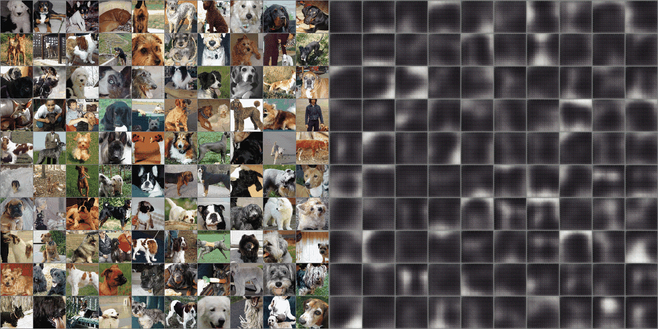 gif1 | 1500X1500